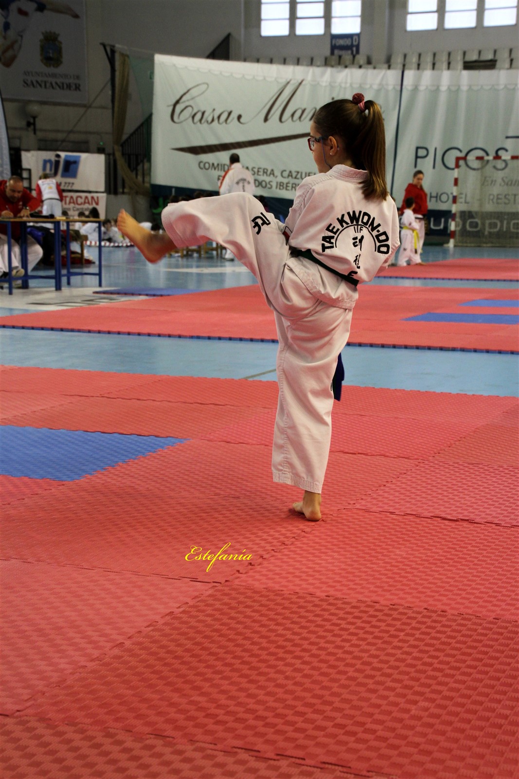 Taekwondo (109).jpg